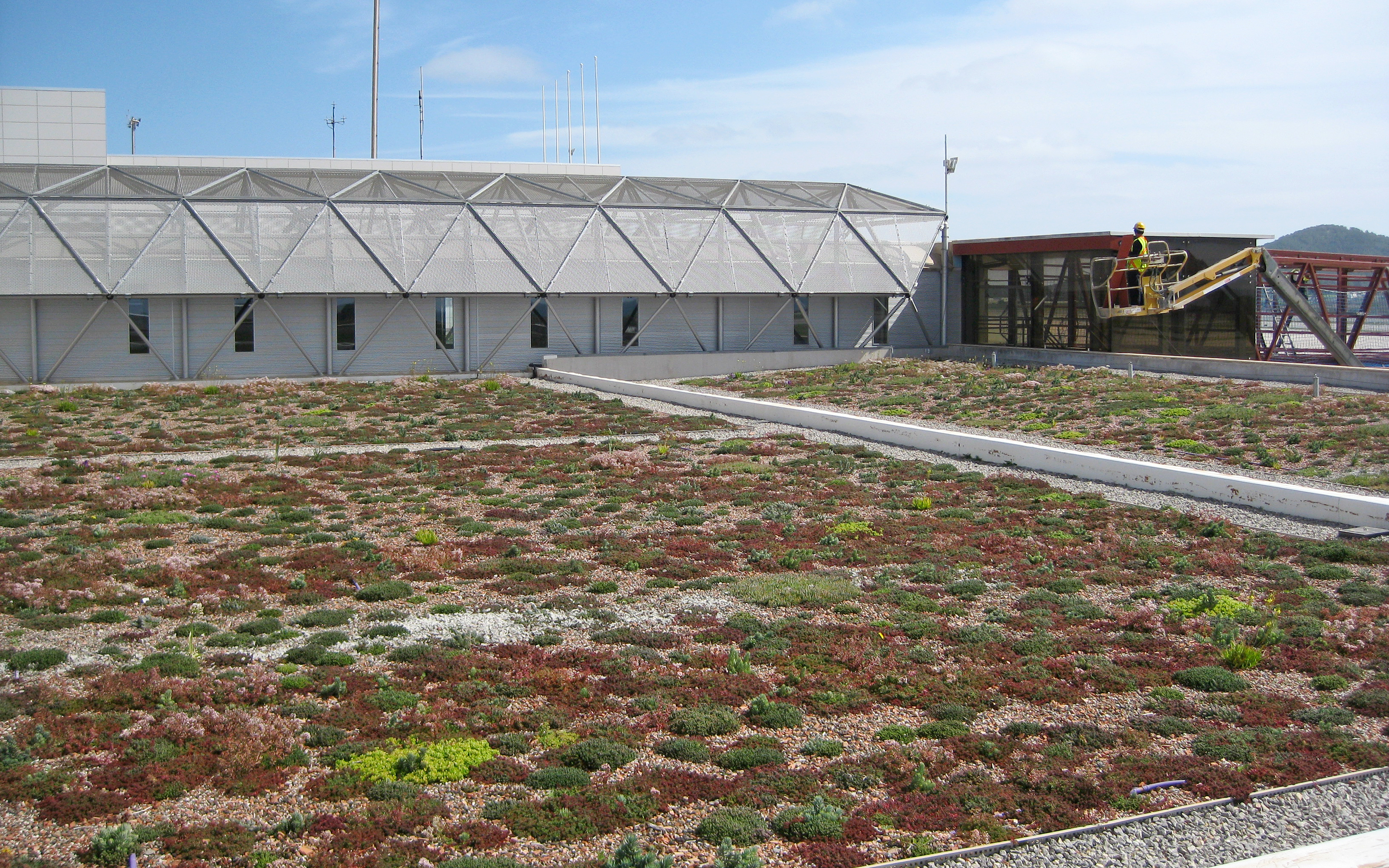 Cubierta ajardinada extensiva