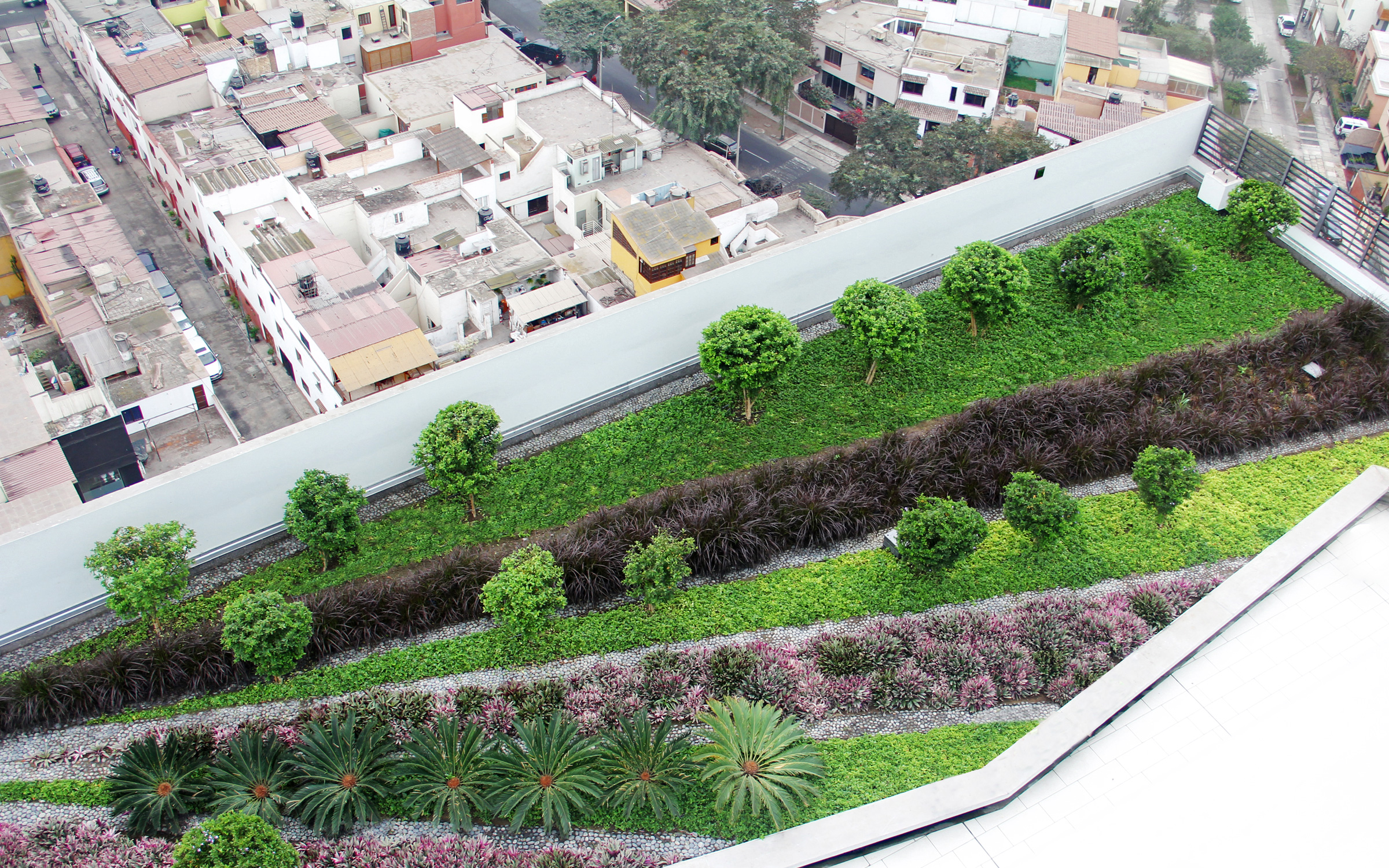 Cubierta jardín en la ciudad