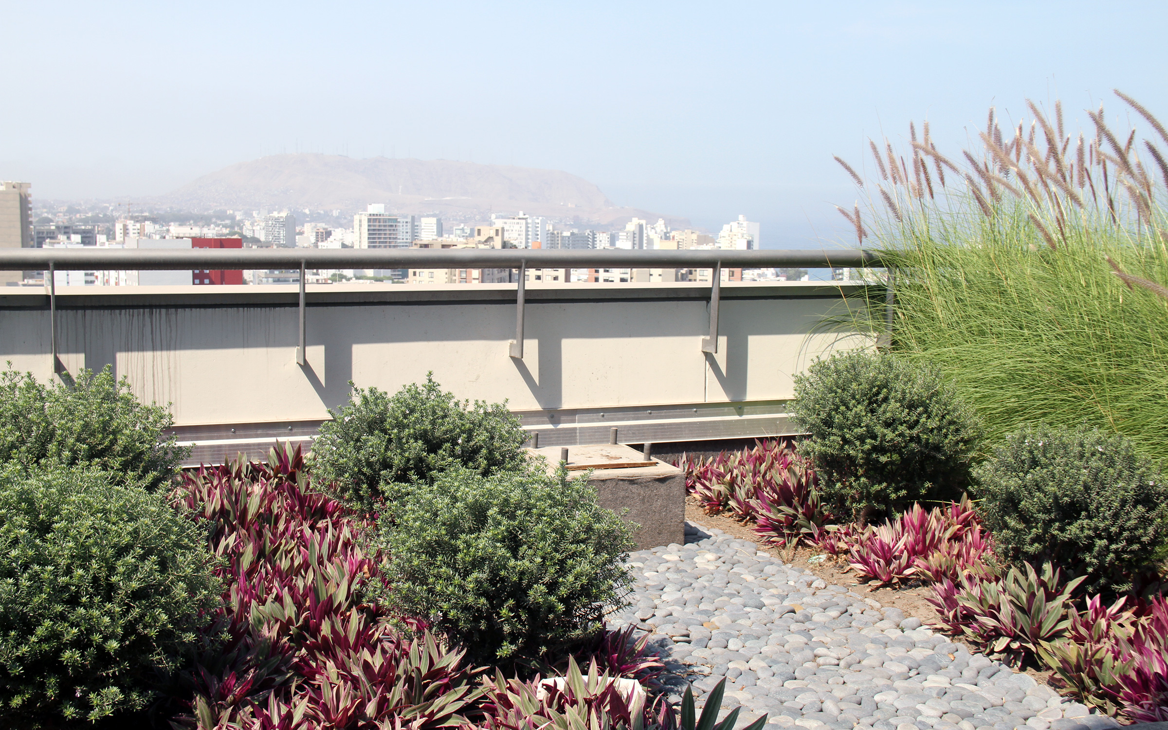 Cubierta jardín con arbustos, hierbas ornamentales y arbustos pequeños