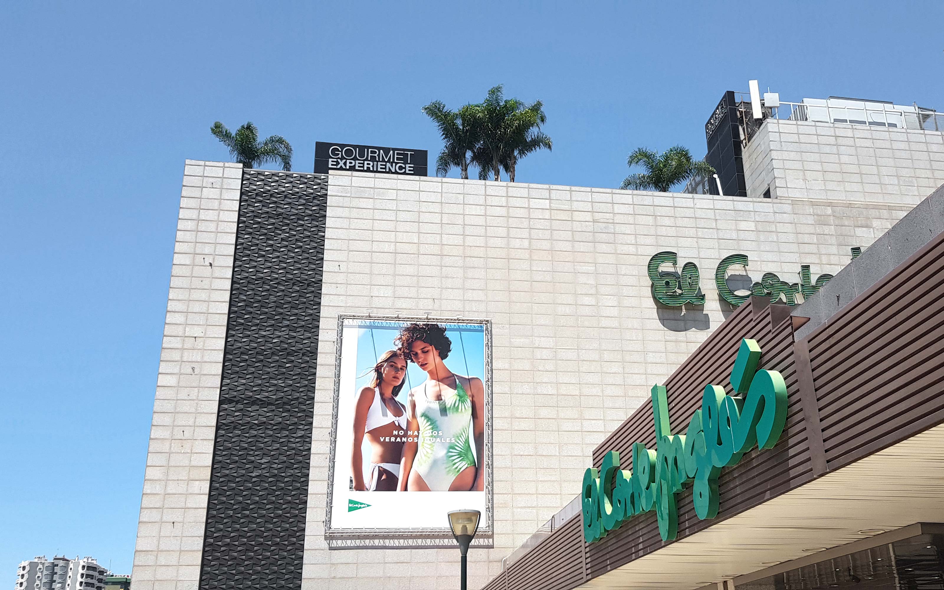 Plantas sobre la cubierta de un edificio