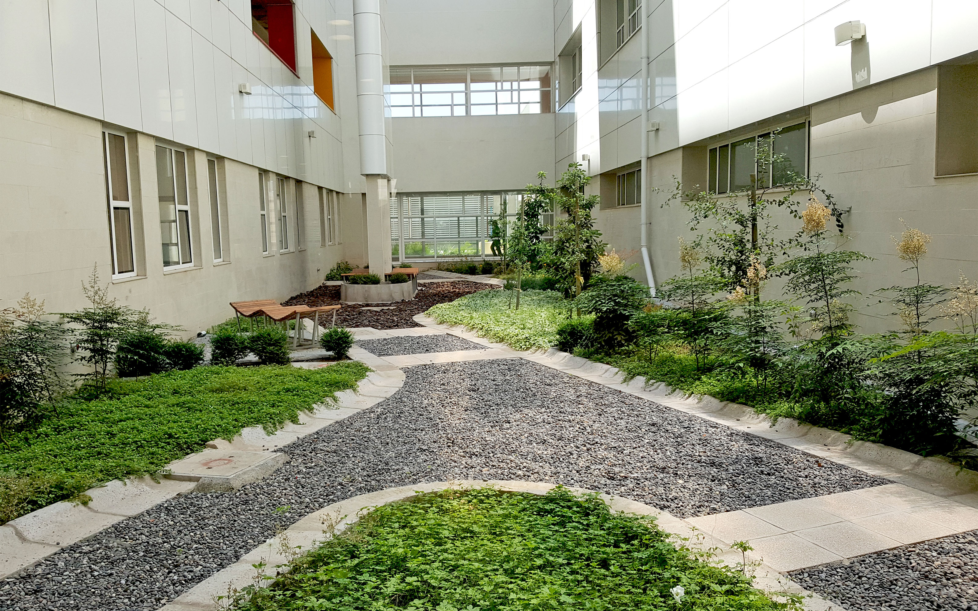 Patio interior verde