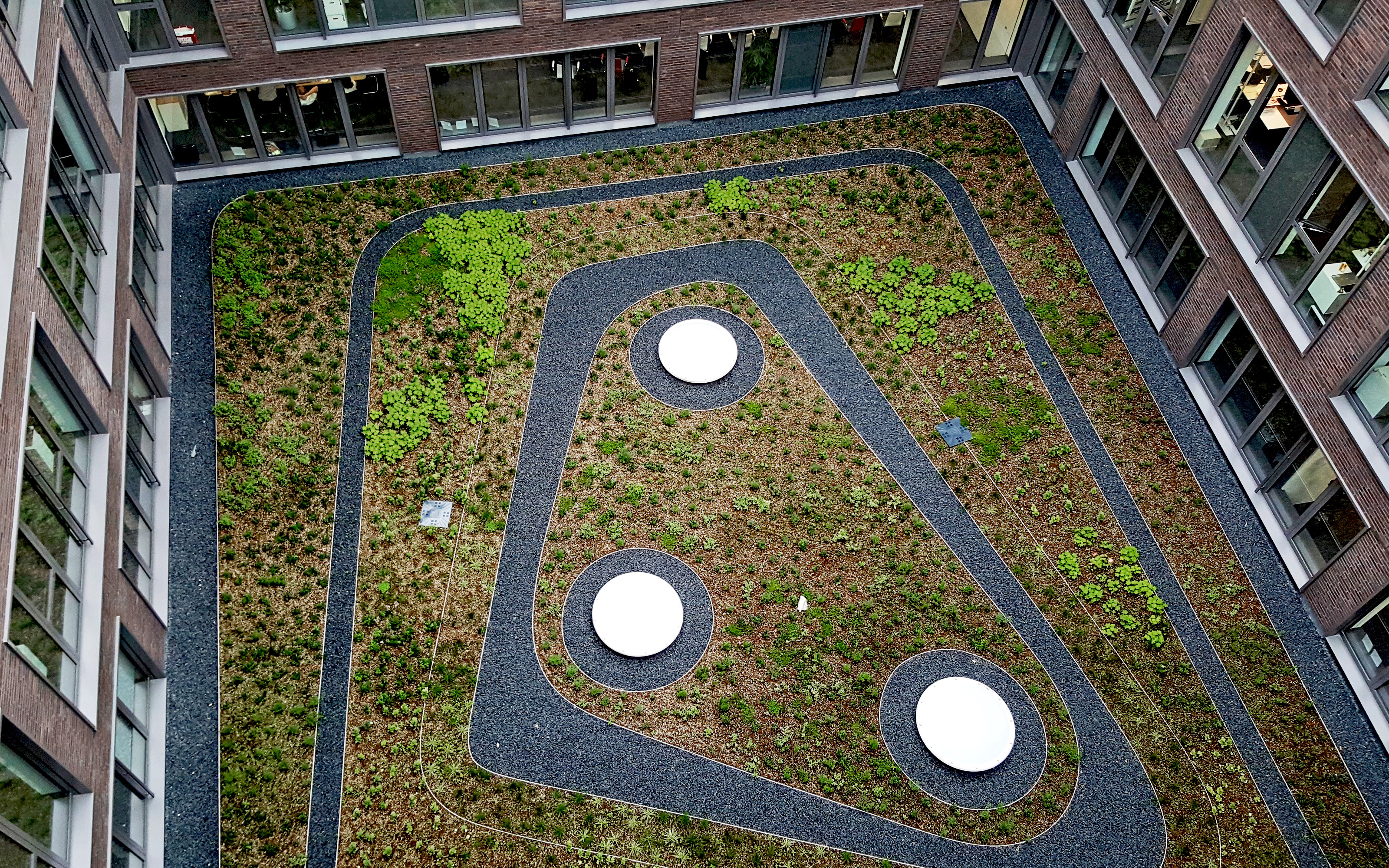 Vista de pájaro de un patio verde