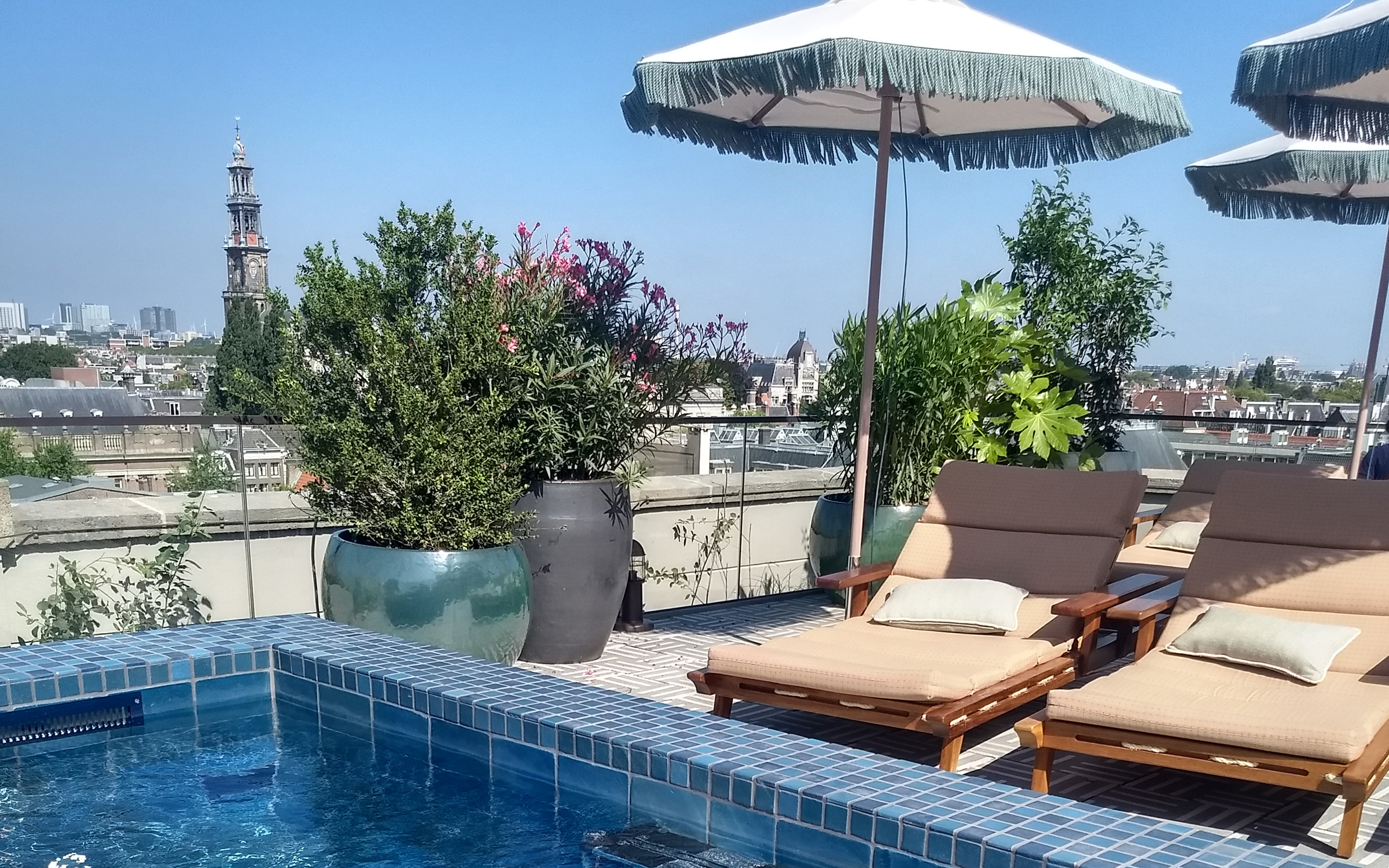 Cubierta jardín con tumbonas y piscina