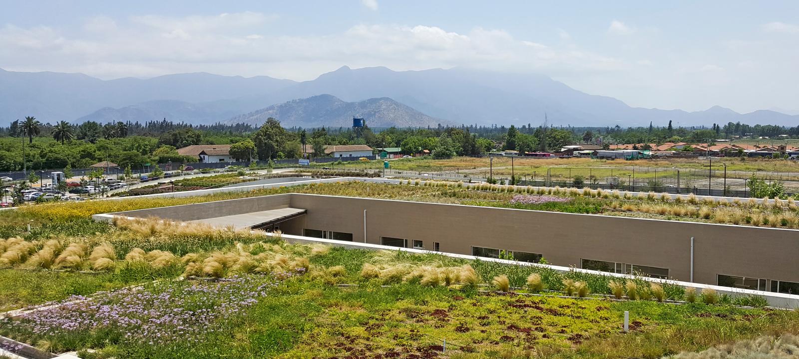 La cubierta ecológica tipo "Tapizante floral"