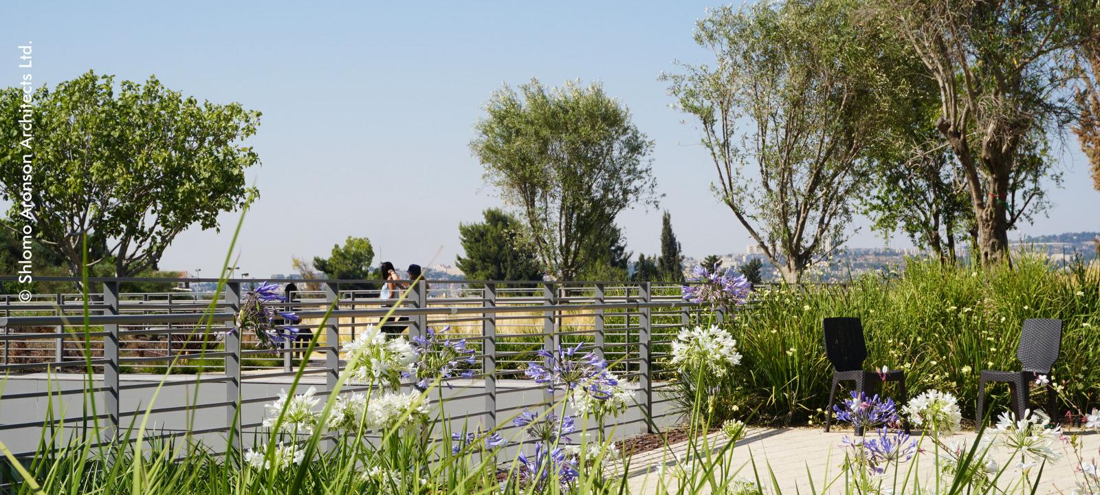 Cubierta jardin con con árboles, hierbas ornamentales y agapantus