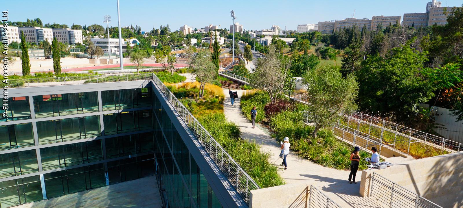 Cubierta jardín