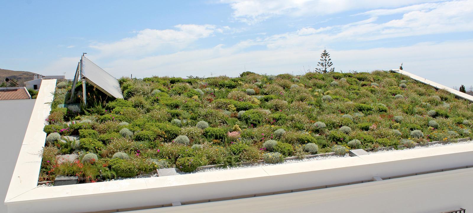 Cubierta ajardinada extensiva