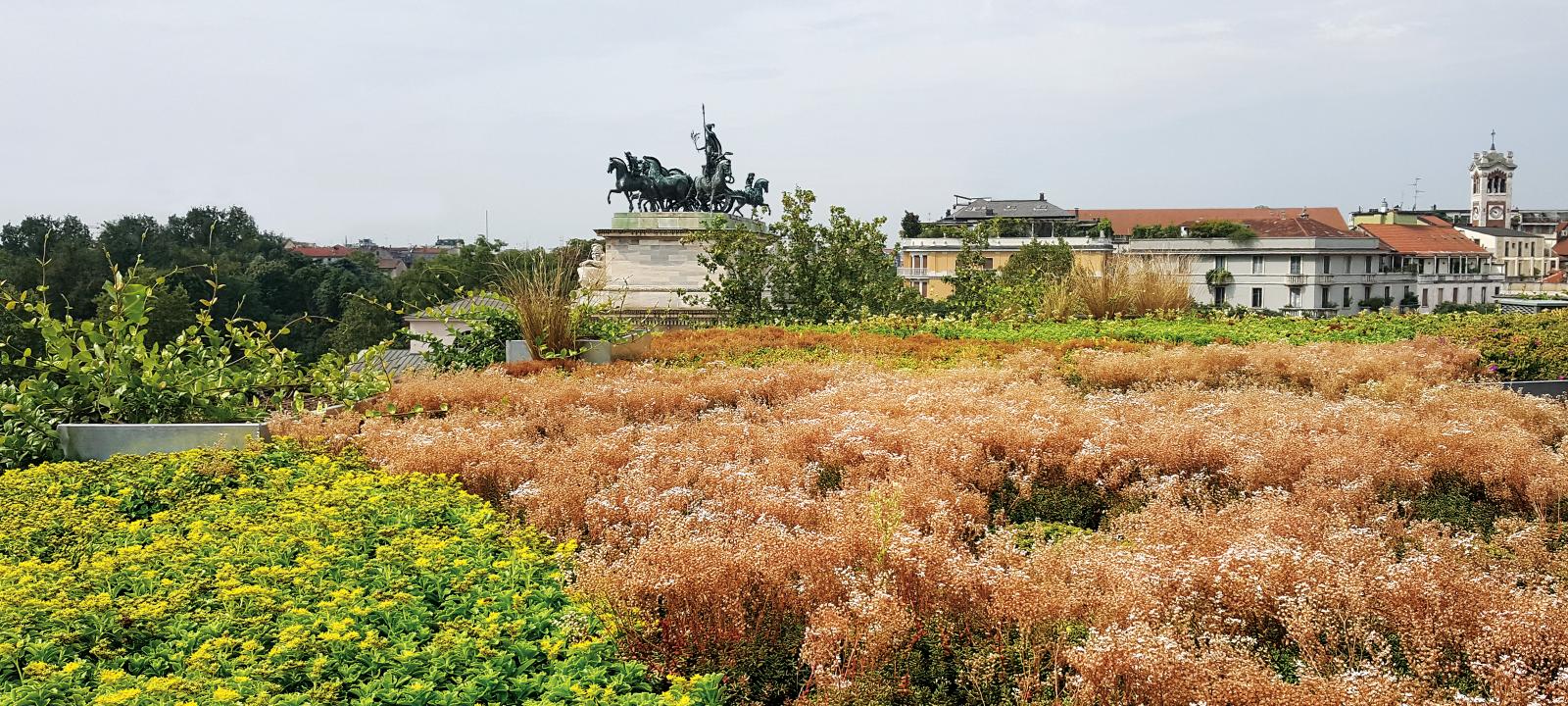 Cubierta ajardinada con Sedum