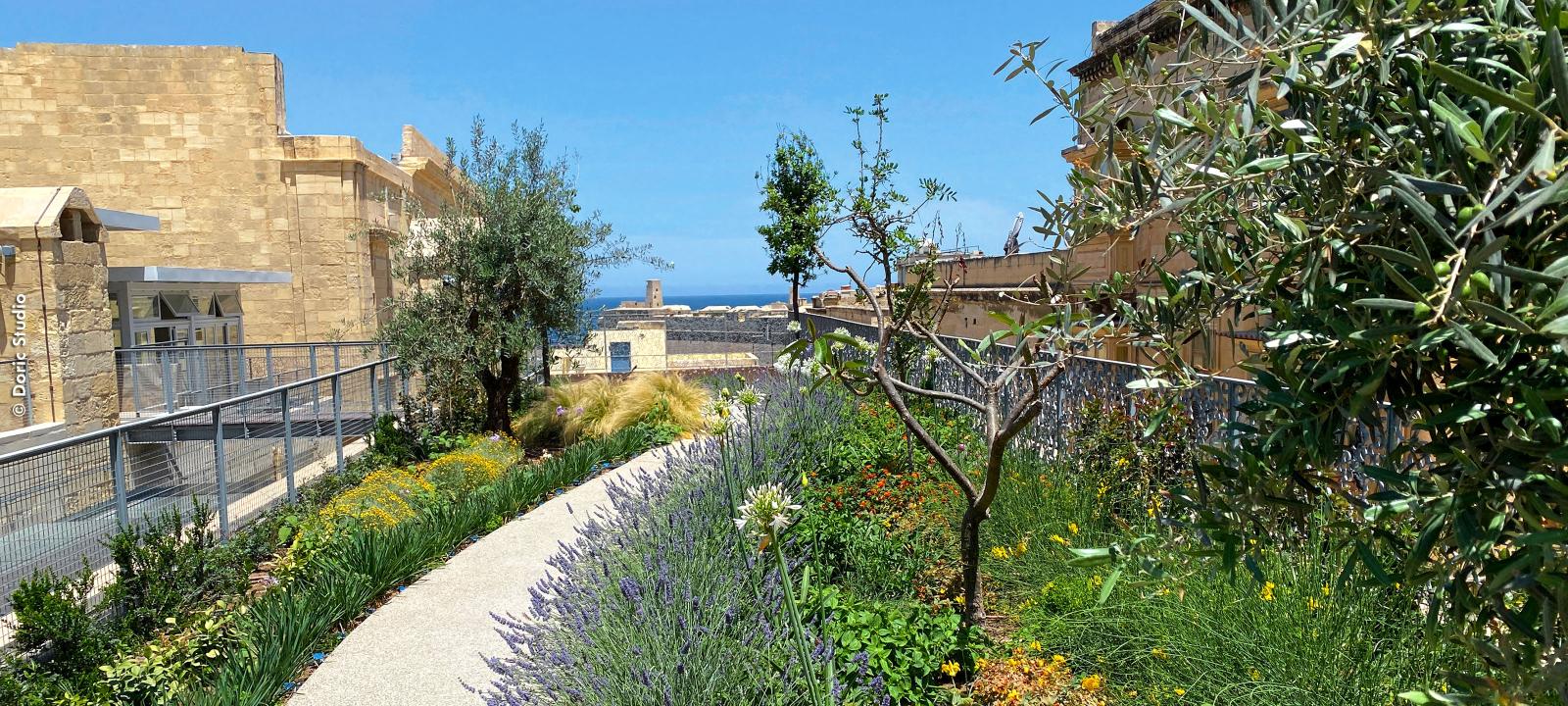 Cubierta jardín con un camino, flores y hierbas