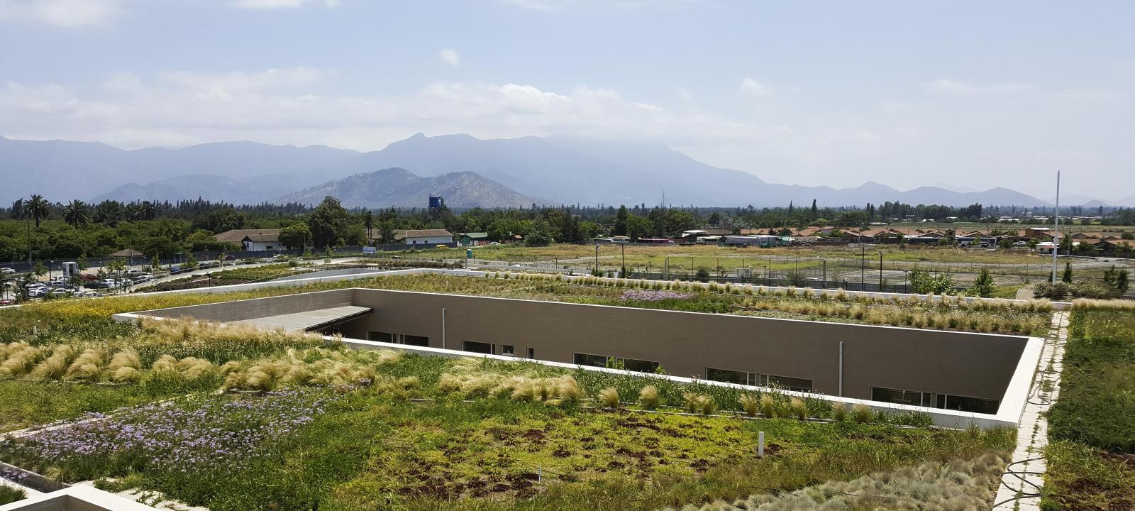 Chile Rancagua