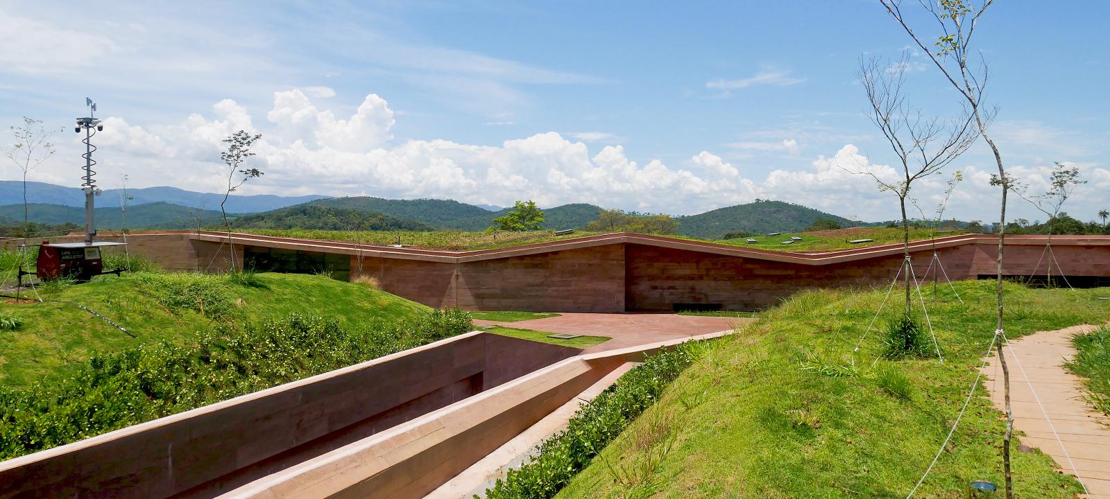 Cubierta verde