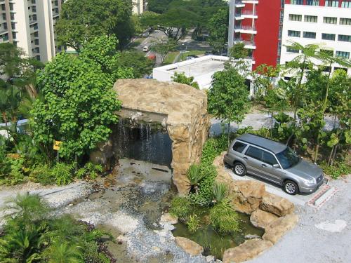 Un “Rally” para coches sobre una cubierta verde tropical