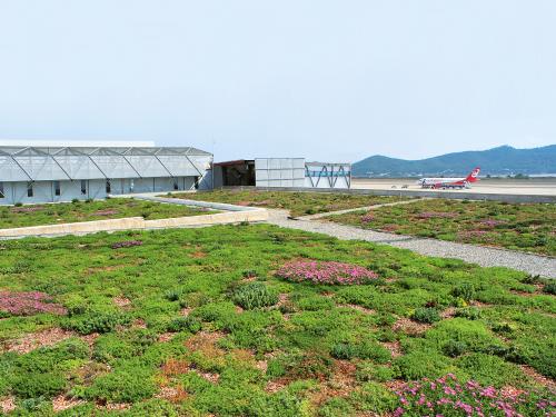 Vista parcial de la cubierta con la plantación de tipo extensiva.