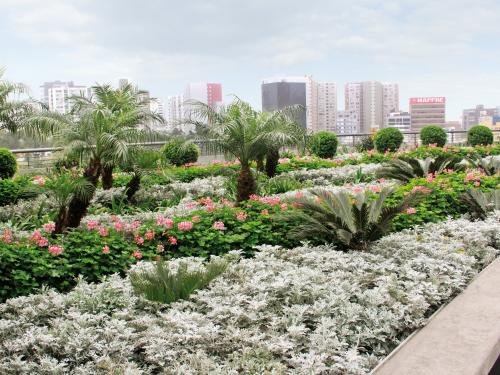 Cubierta jardín con palmeras