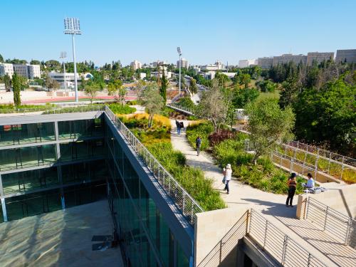 Cubierta jardín