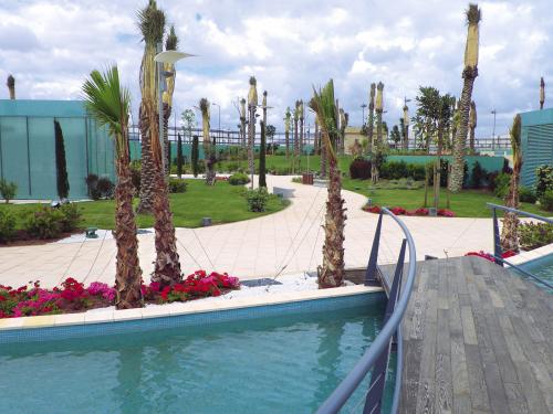 Piscinas, palmeras y un puente de madera