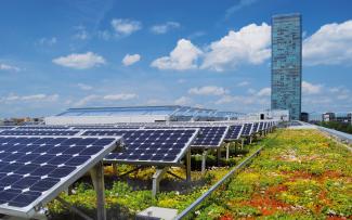 Paneles solar sobre la cubierta verde