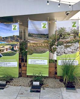 Carteles y modelos de sistemas en el congreso