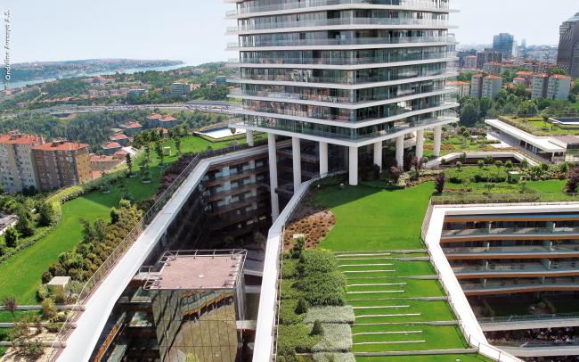 Cubierta jardín con césped, arbustos y árboles pequeños