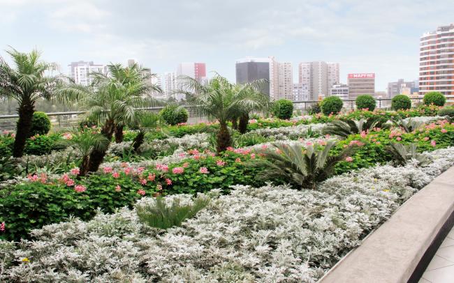 Cubierta jardín con palmeras