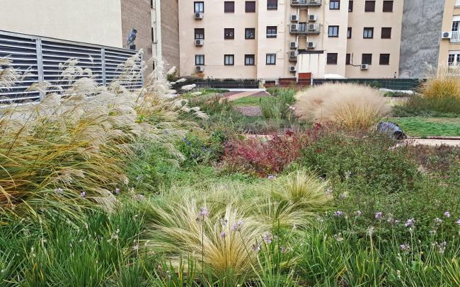 Cubierta jardín con camas de hierbas, flores y pavimentos de madera