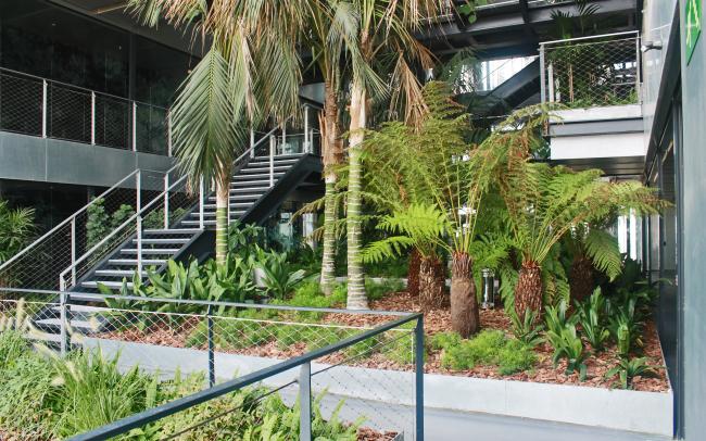Plantación tropical en un edificio