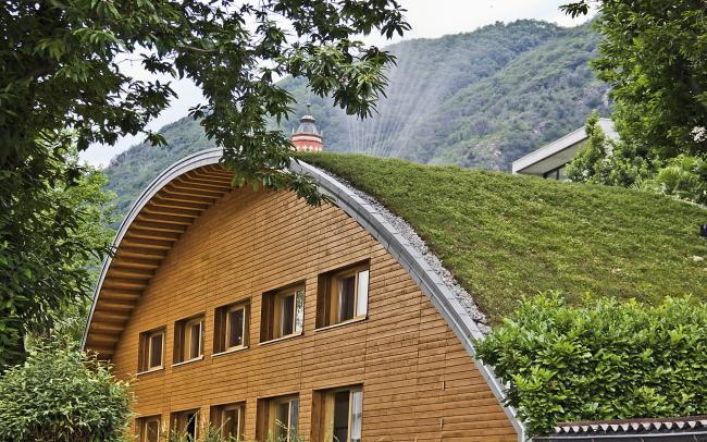 Casa de madera con la cubierta abovedada ajardinada