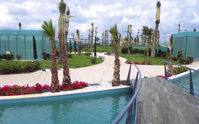 Piscinas, palmeras y un puente de madera