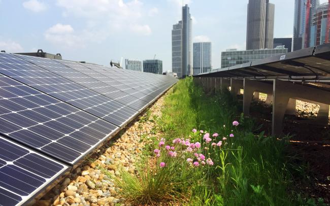 Energía solar sobre la cubierta verde